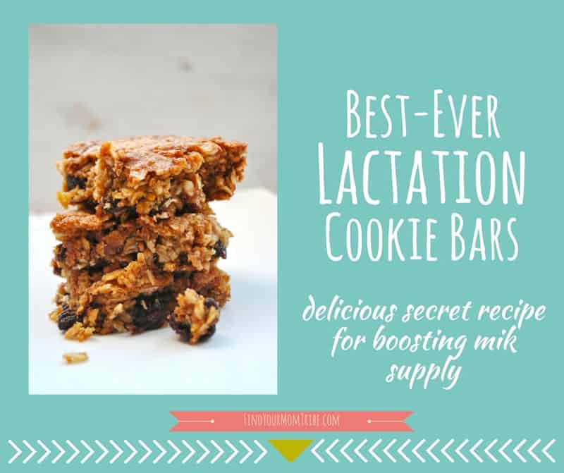 Best Ever Lactation Cookie Bars Delicious Secret Recipe for Boosting