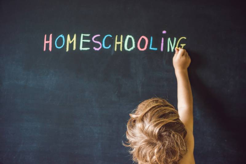 20 Things to Try if Your Kid Hates Homeschooling