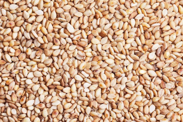 Lactogenic Food: Top 20 Ingredients For A Better Milk Supply