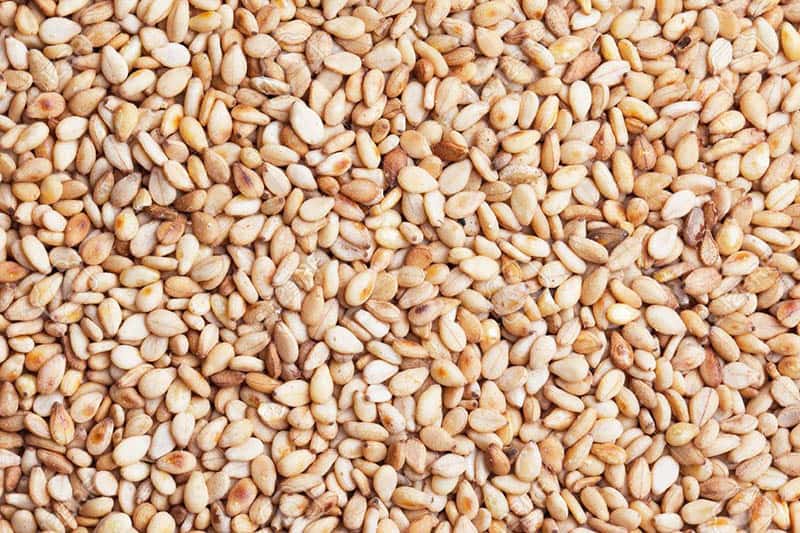 Lactogenic Food: Top 20 Ingredients For A Better Milk Supply