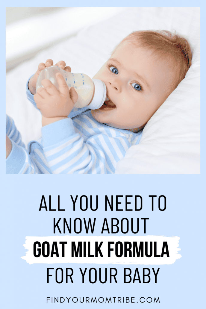 All You Need To Know About Goat Milk Formula For Your Baby