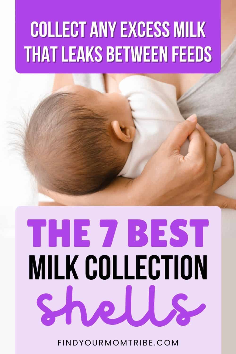 The 7 Best Milk Collection Shells To Consider Pinterest