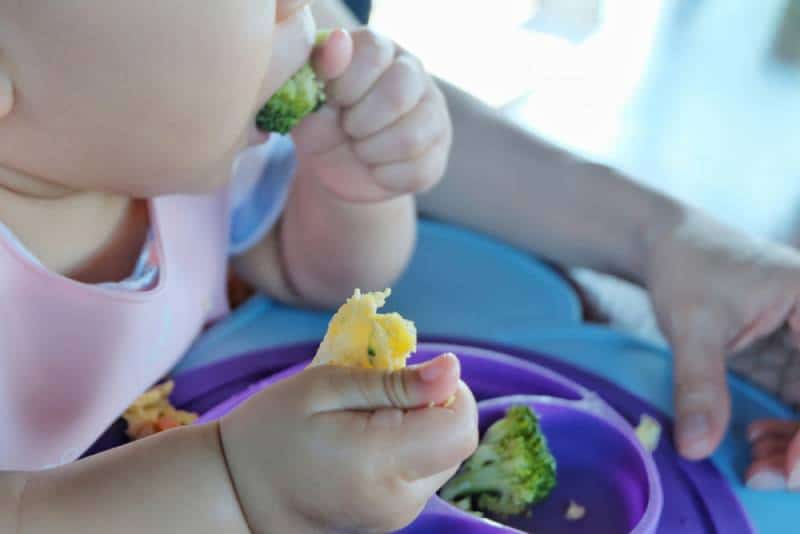 Baby eating by hand with omelet and vegetable make more experience