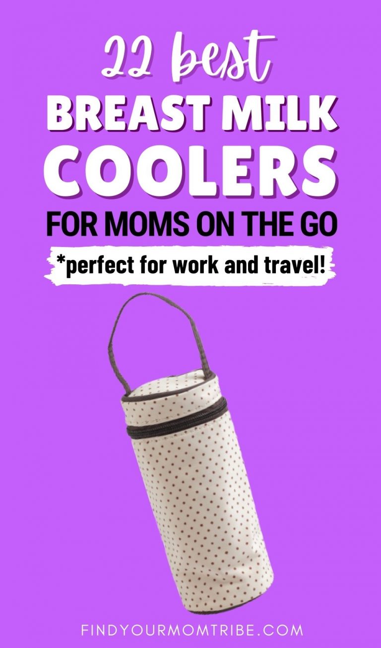 22 Best Breast Milk Coolers For Moms On The Go In 2022