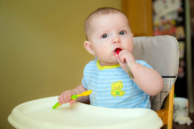 18 Best Travel High Chairs Of 2022 Ranked