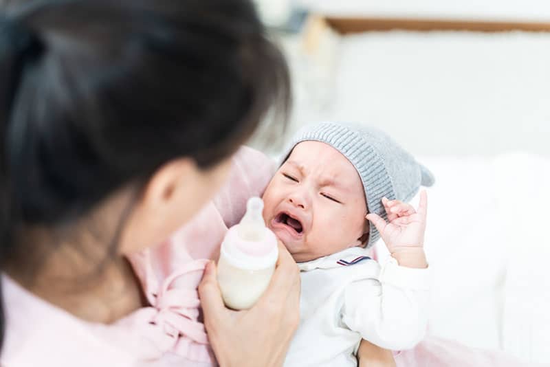 young mother trying to feed her crying baby in arms