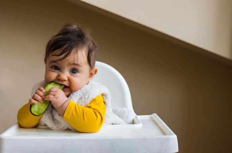 Can Babies Eat Cucumber? Health Benefits And Risks