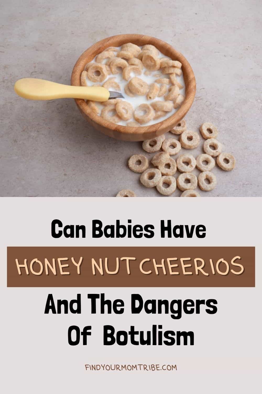  Pinterest can babies have honey nut cheerios