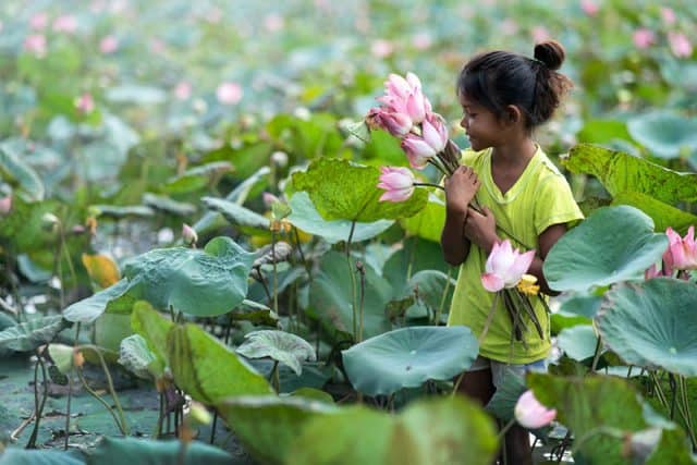 150 Most Amazing Plant Inspired Names For Boys And Girls