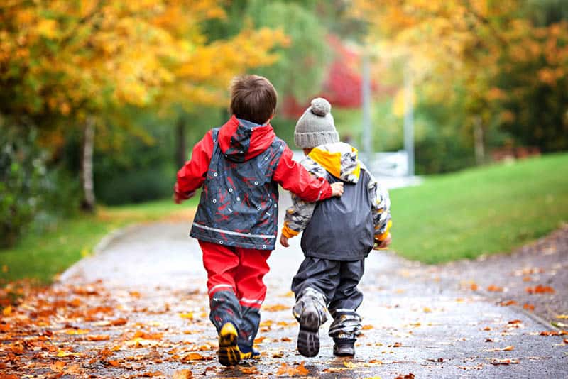  brother and sister walking in the park on the autumn day