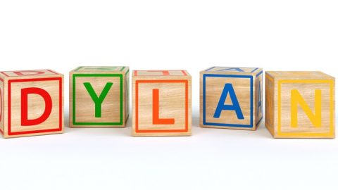 106 Amazing And Funny Nicknames For Dylan