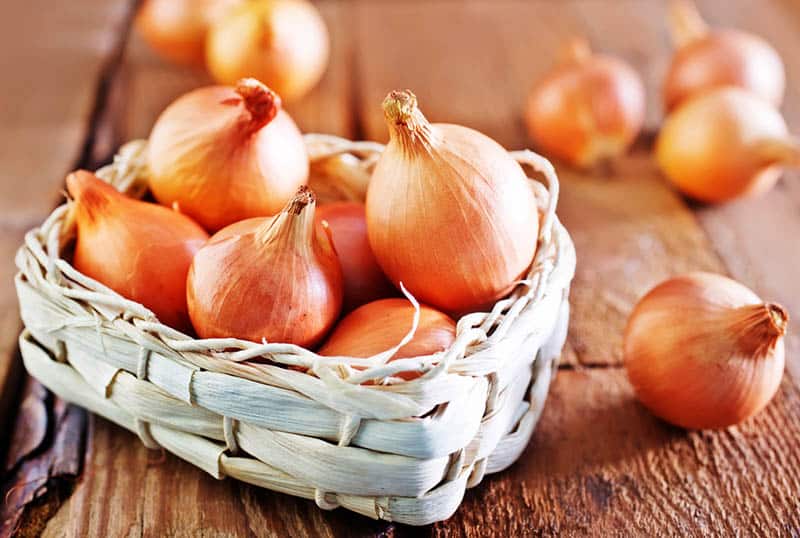 Benefits And Risks Of Eating Onion During Pregnancy Is It Safe