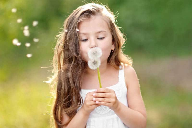 beautiful little girl blowing dandelion flower