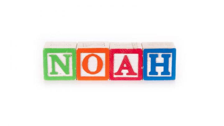 145 Classic And Unique Middle Names For Noah