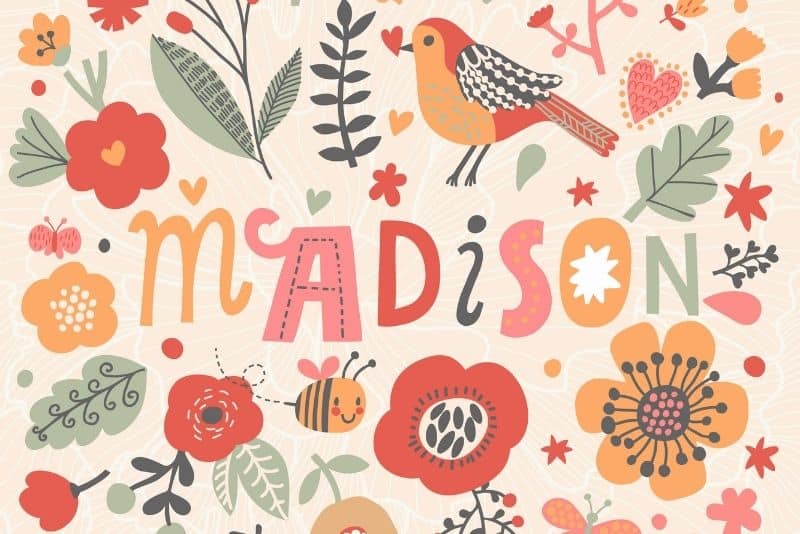 90 Funny And Creative Nicknames For Madison That Work Wonderfully