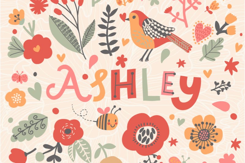 85 Beautiful And Creative Nicknames For Ashley