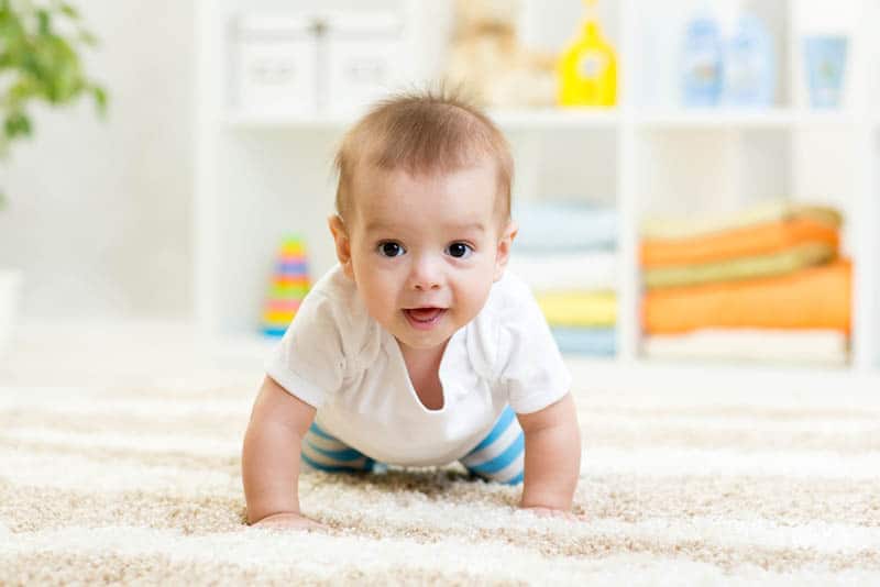 adorabile bambino che striscia sul pavimento