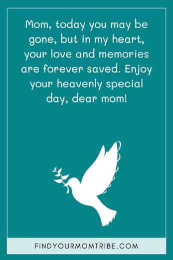 145 Heartfelt Happy Birthday In Heaven Mom Wishes And Quotes