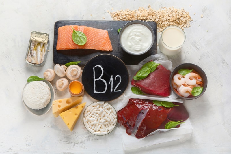 foods rich with b-12