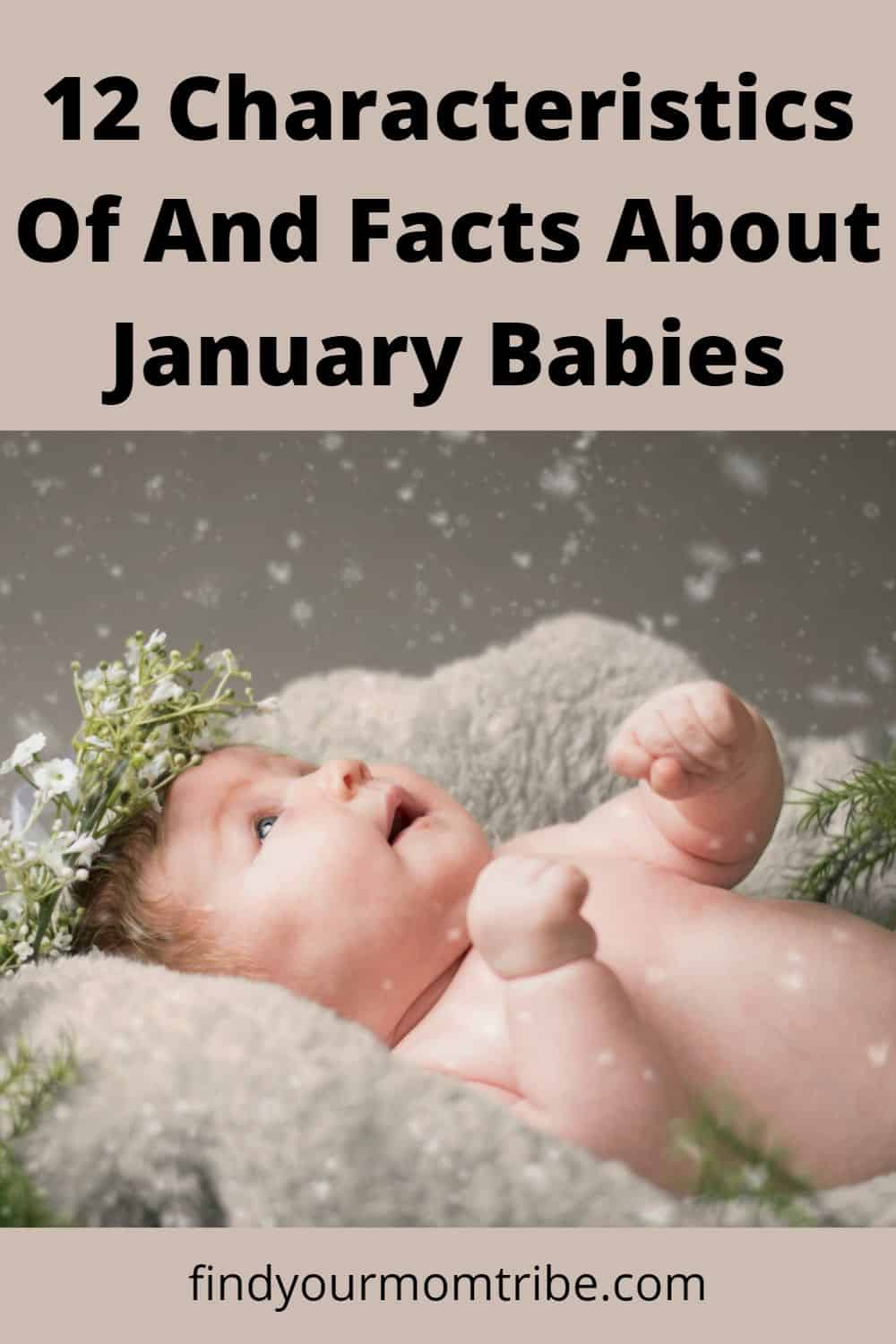 Pinterest january babies